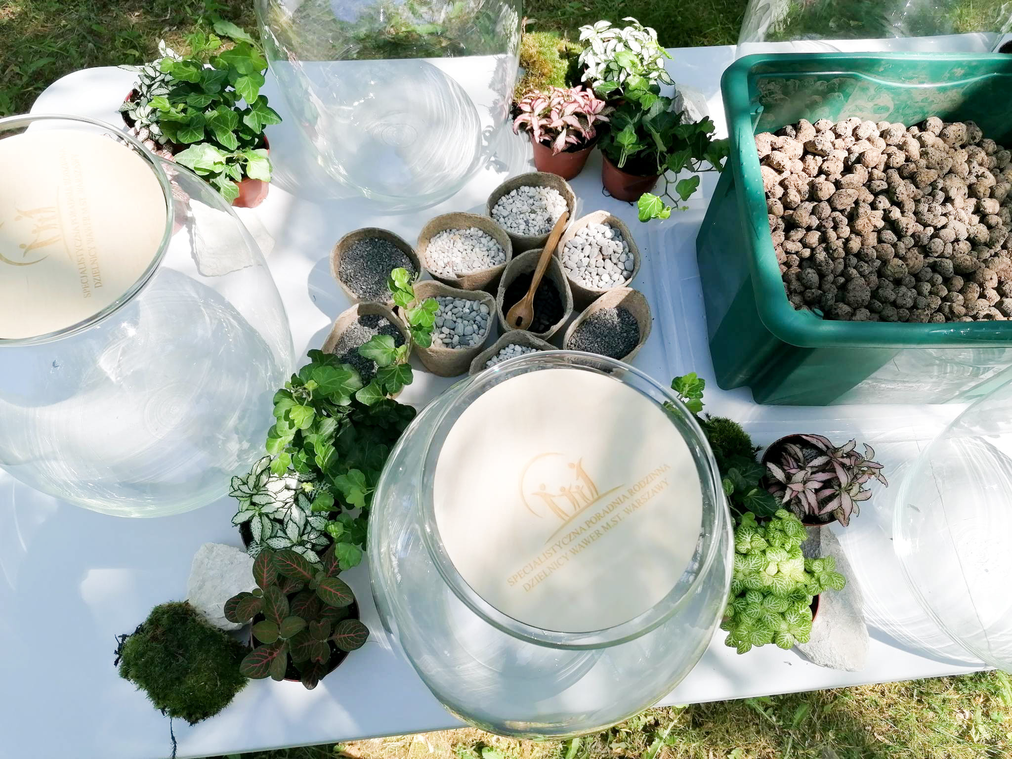 Świętujemy pierwsze 10 atrakcji na Atrakty!